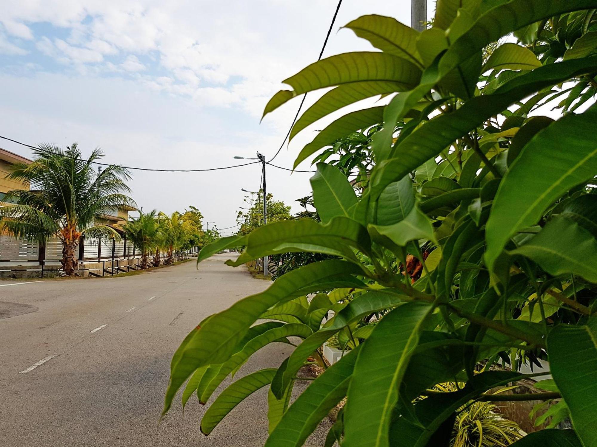 Siantan In Paya Rumput Near Std Hang Jebat, Sg Udang & Uitm Lendu Malacca Extérieur photo